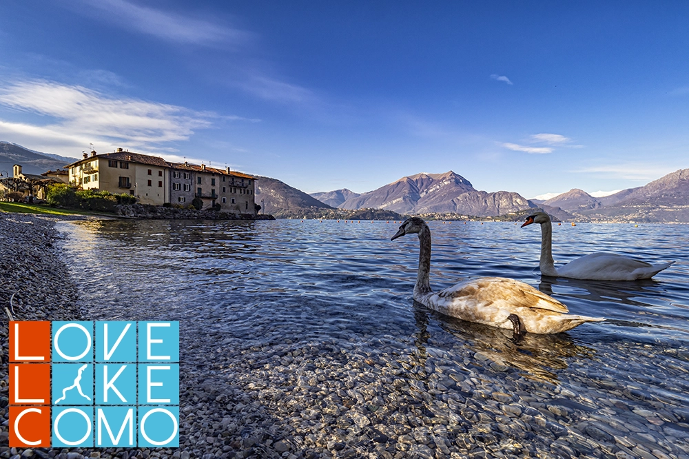 What to see to visit and things to do in Lierna Lake Como