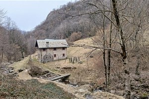 hiking e trekking a Mandello, lago di Como