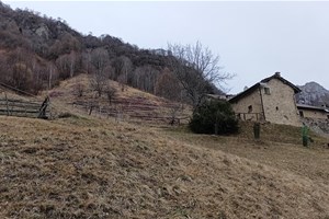 hiking e trekking a Mandello, lago di Como