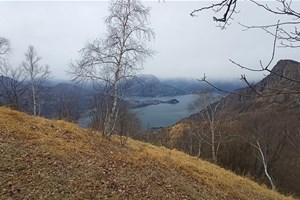 hiking e trekking a Mandello, lago di Como