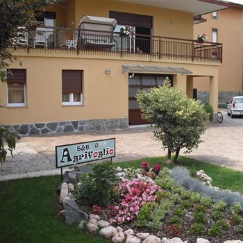 B&amp;B Agrifoglio