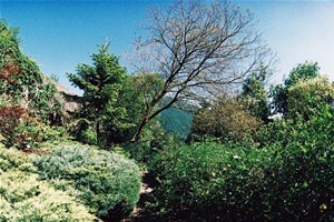 giardino della valle cernobbio lake como