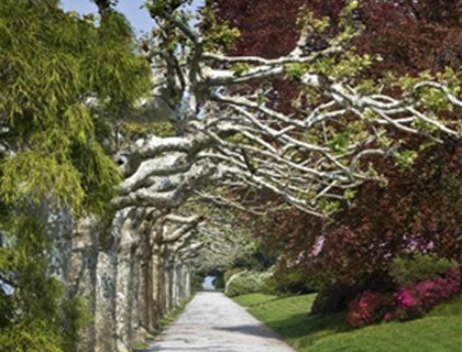 Gardens of Villa Melzi