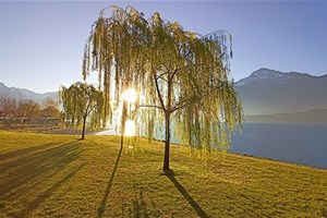 Domaso; lake Como, sunrise