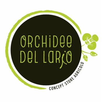 Orchidee del Lario