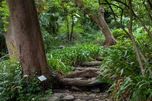 parco botanico cernobbio lago di como