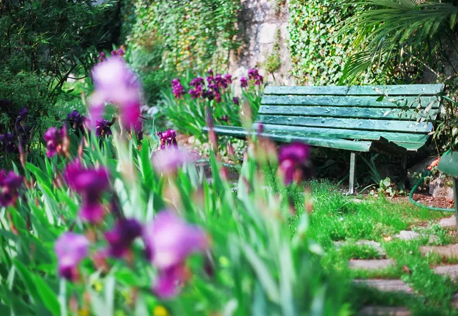 botanic garden lake como